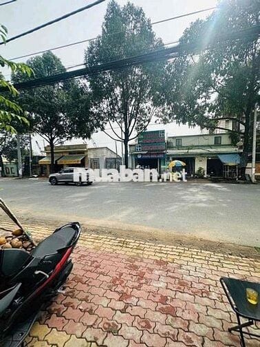 cho thue nha nguyên căn vừa ở vừa kinh doanh p tân hạnh 1 phòng ngủ