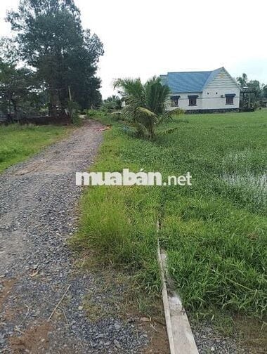 Đất nền Đức Hoà , Giá ngộp, bán lỗ 100 triệu.