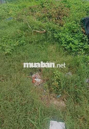 Đất sổ chung đường thân nhân trung trảng dài biên hòa đồng nai