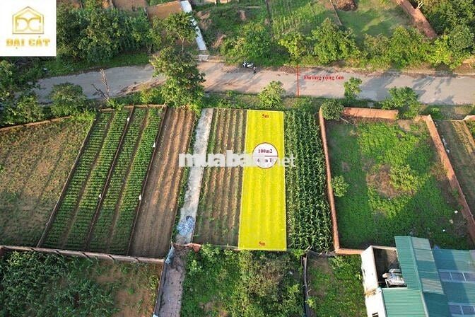 QUÁ NÉT 1002M2 TĐC VAI RÉO, CHỈ HƠN 4 TỶ