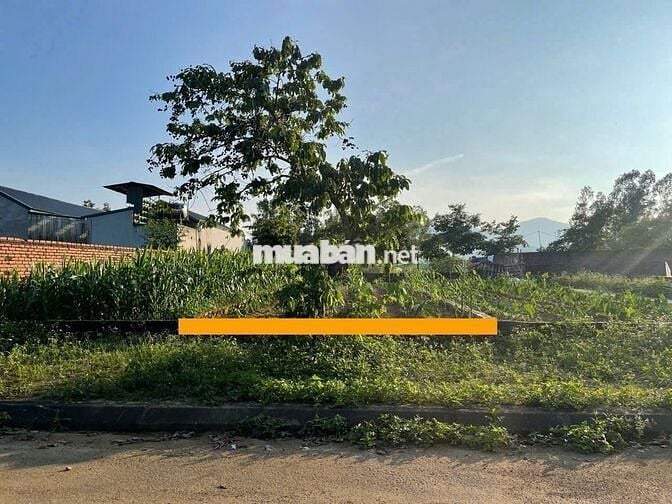 QUÁ NÉT 1002M2 TĐC VAI RÉO, CHỈ HƠN 4 TỶ