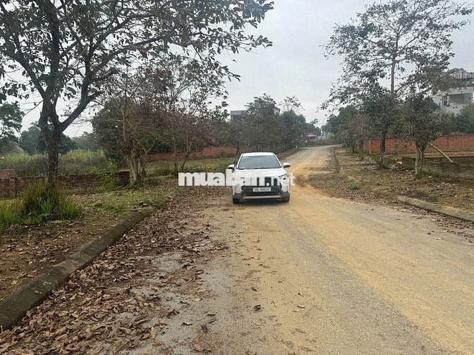 QUÁ NÉT 1002M2 TĐC VAI RÉO, CHỈ HƠN 4 TỶ