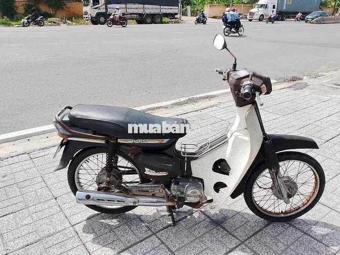 Honda Dream Nâu trắng
