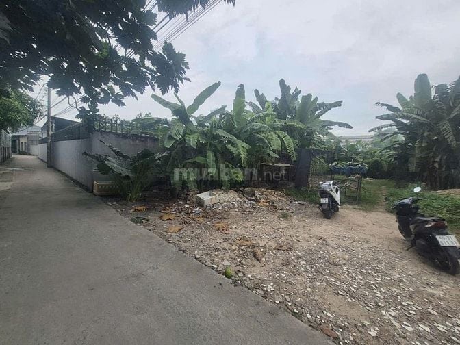  ĐẤT VUÔNG A4 –FULL THỔ CƯ –ĐƯỜNG XE TẢI 5M THÔNG DT: 6 x 24 giá 4.2TY