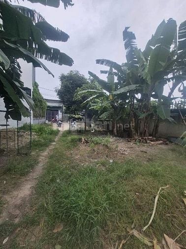  ĐẤT VUÔNG A4 –FULL THỔ CƯ –ĐƯỜNG XE TẢI 5M THÔNG DT: 6 x 24 giá 4.2TY