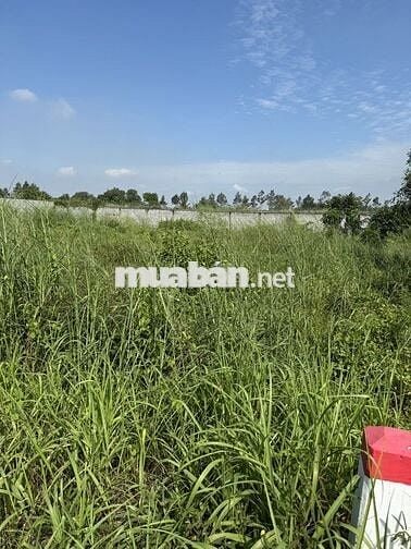 Chính chủ bán đất mặt tiền Tỉnh Lộ 7 xã Thái Mỹ, Củ Chi, TP HCM