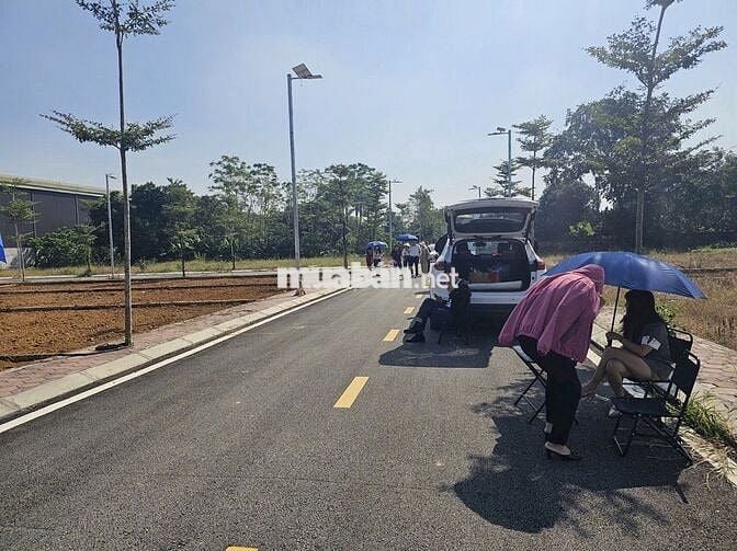 Bán lô đất Phú Cát, Hòa Lạc 100m² full thổ cư cách QL21A 150m đã có sổ