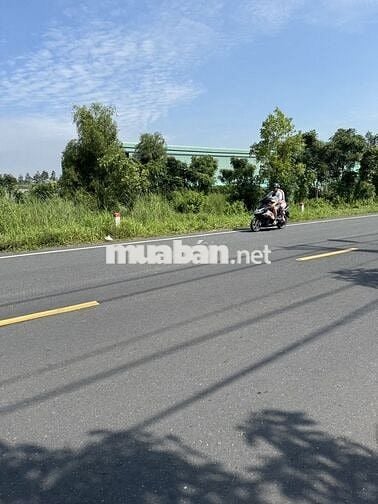 Chính chủ bán đất mặt tiền Tỉnh Lộ 7 xã Thái Mỹ, Củ Chi, TP HCM