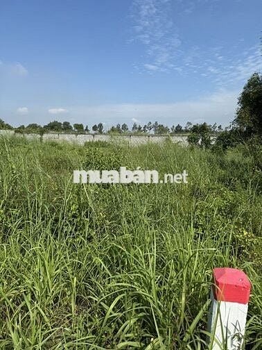 Chính chủ bán đất mặt tiền Tỉnh Lộ 7 xã Thái Mỹ, Củ Chi, TP HCM