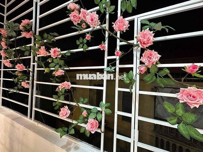 Bán CCMN Mỹ Đình , Ô tô Đỗ Cửa - Nội Thất Xịn Xò