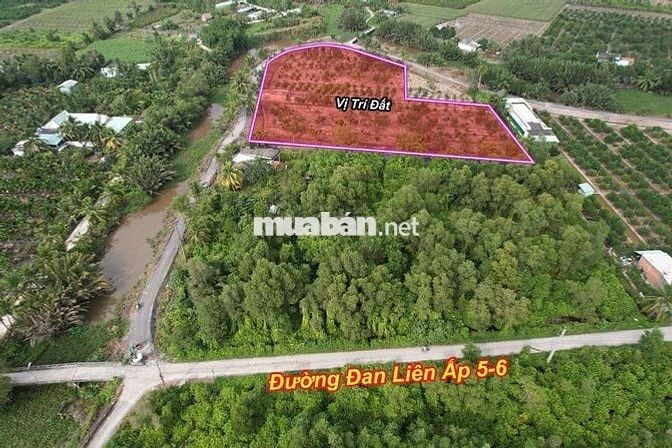 Đất vườn  1000 MV tại xã Bình Đức bến lức Long An