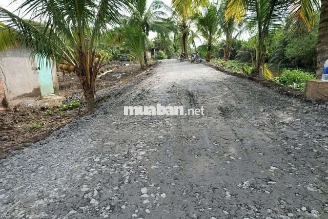 Đất vườn  1000 MV tại xã Bình Đức bến lức Long An