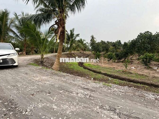 Đất vườn  1000 MV tại xã Bình Đức bến lức Long An