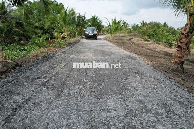 Đất vườn  1000 MV tại xã Bình Đức bến lức Long An