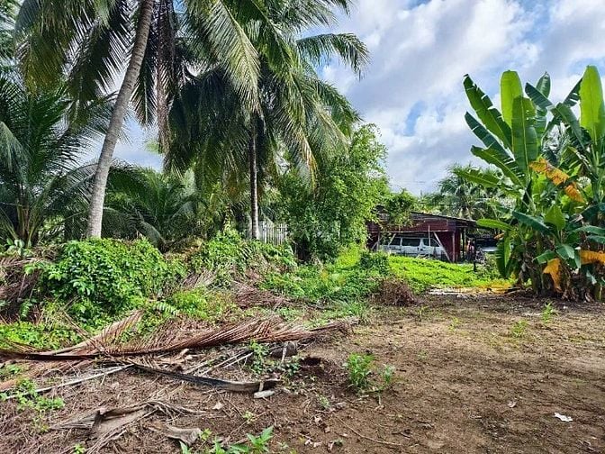 Công ty Đấu giá hợp danh Lam Sơn Sài Gòn THÔNG BÁO ĐẤU GIÁ TÀI SẢN