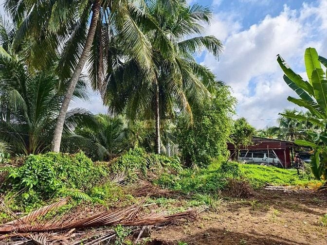 Công ty Đấu giá hợp danh Lam Sơn Sài Gòn THÔNG BÁO ĐẤU GIÁ TÀI SẢN