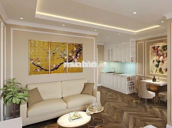 Newtown Diamond – Chỉ Thanh Toán 25% Sở Hữu Ngay Căn Hộ VIEW BIỂN