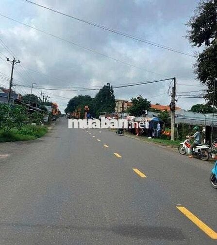 Bán đất mặt tiền kinh doanh ngay mặt tiền DH519(32m), 250m2 thổ cư,SHR