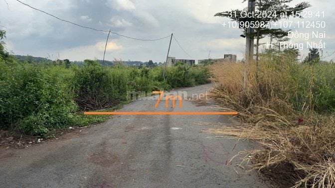 Công ty Đấu giá hợp danh Lam Sơn Sài Gòn THÔNG BÁO ĐẤU GIÁ TÀI SẢN