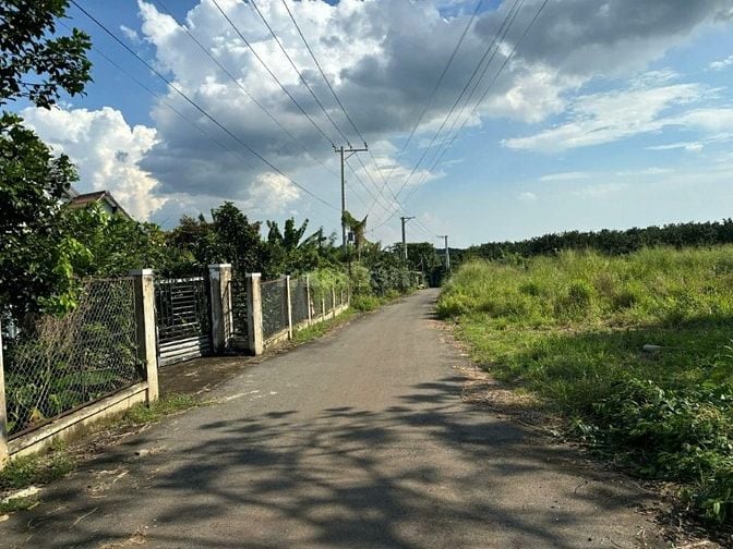 Công ty Đấu giá hợp danh Lam Sơn Sài Gòn THÔNG BÁO ĐẤU GIÁ TÀI SẢN