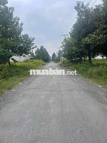 bán đất 6x20 kdc 135 trung tâm bến lức