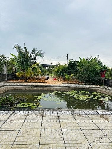 Bán đất vườn Xã Bình Mỹ Củ Chi, Đã có nhà vườn