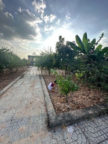 Bán đất vườn Xã Bình Mỹ Củ Chi, Đã có nhà vườn
