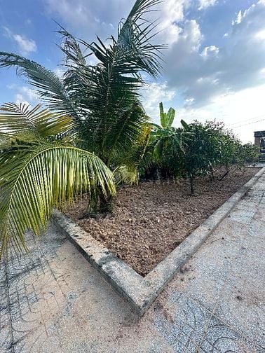 Bán đất vườn Xã Bình Mỹ Củ Chi, Đã có nhà vườn