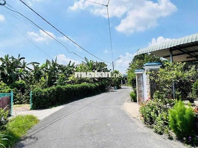 Bán đất 131m2 Đ.Lê Thị Sắc cách chợ Tân Phú Trung 100m, giá 1,3 tỷ SHR