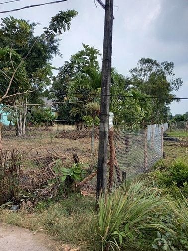 [Mỹ Lộc, Tây Ninh] Bán đất địa thế đẹp, giá hời, 1.700m2 - 8.5tỉ