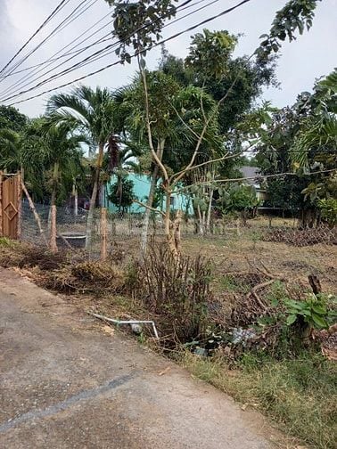 [Mỹ Lộc, Tây Ninh] Bán đất địa thế đẹp, giá hời, 1.700m2 - 8.5tỉ