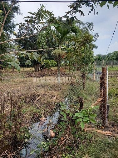 [Mỹ Lộc, Tây Ninh] Bán đất địa thế đẹp, giá hời, 1.700m2 - 8.5tỉ