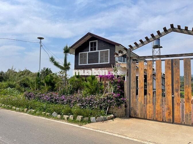 Homestay Bảo Lộc DT578m2 (14mx40m) mặt đường nhựa lớn 2 oto chỉ 2.8 tỉ