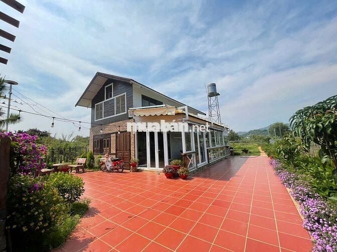 Homestay Bảo Lộc DT578m2 (14mx40m) mặt đường nhựa lớn 2 oto chỉ 2.8 tỉ