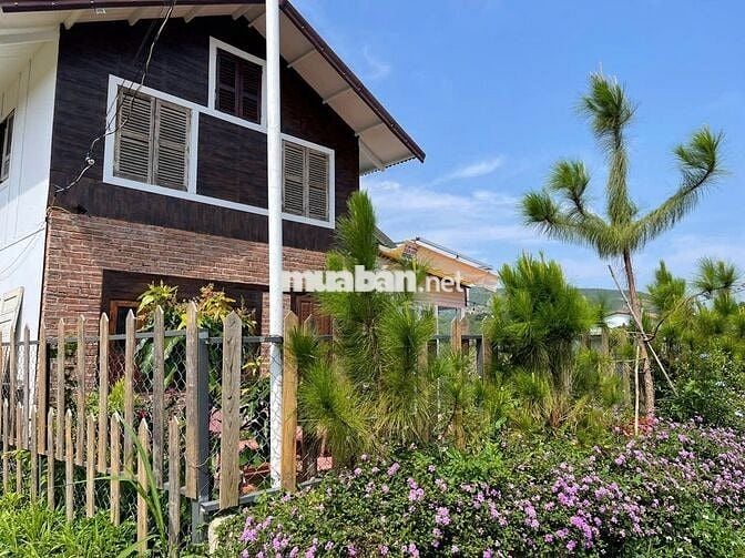 Homestay Bảo Lộc DT578m2 (14mx40m) mặt đường nhựa lớn 2 oto chỉ 2.8 tỉ