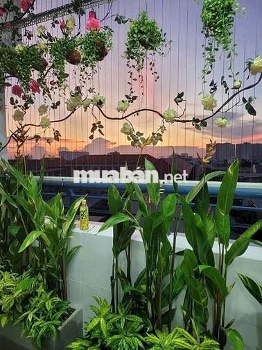 Cần bán căn hộ CC Thái An, Nguyễn Văn Quá, Q12. giá 4,6tỷ 108m2, 3PN