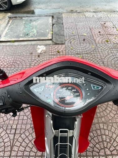 anpha 100 2016 zin dep vĩnh long