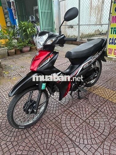 elegant 50c 2023 vĩnh long