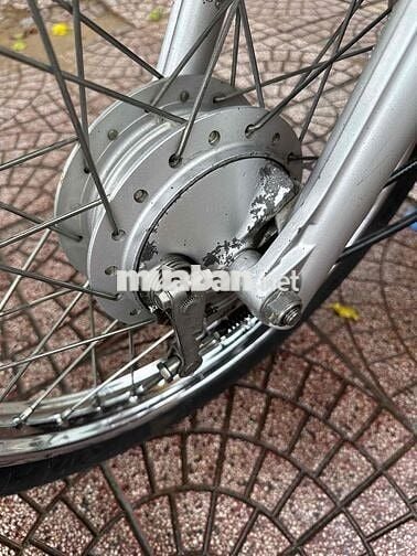 anpha 100 2016 zin dep vĩnh long