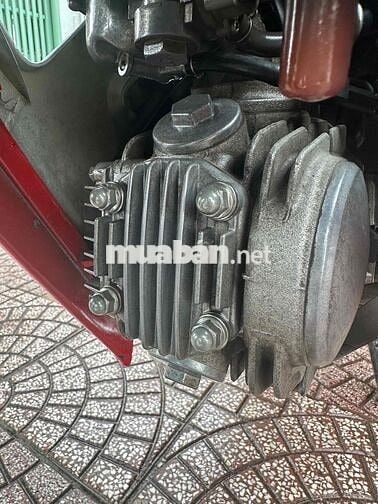 anpha 100 2016 zin dep vĩnh long