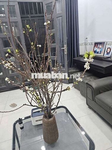 Bán Nhà 2Tầng HXH N.Thờ Khiết Tâm Bình Chiểu DT55m(4×24) 3Pn Hoàn Công