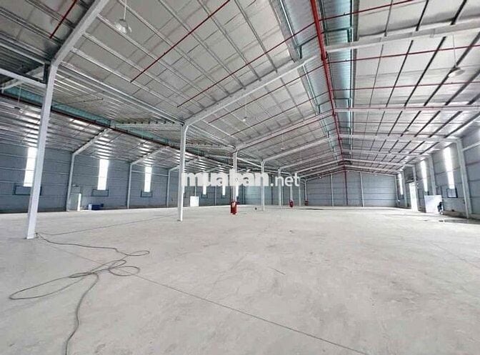 CHO THUÊ NHÀ XƯỞNG 10.000m² – LONG AN chỉ 55k/m2 phù hợp may mặc,