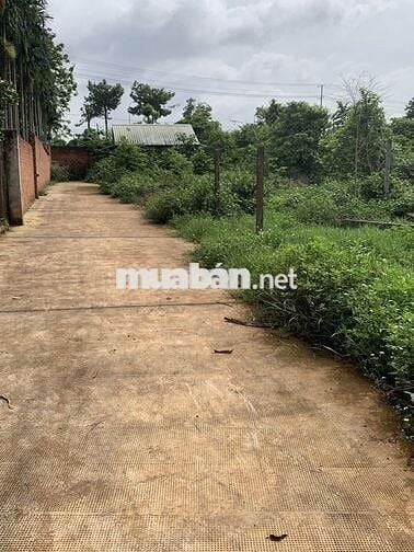 Kẹt tiền cần bán miếng đất sổ đỏ 1154,3 m2