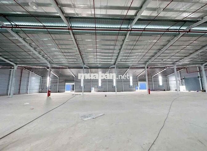 CHO THUÊ NHÀ XƯỞNG 10.000m² – LONG AN chỉ 55k/m2 phù hợp may mặc,