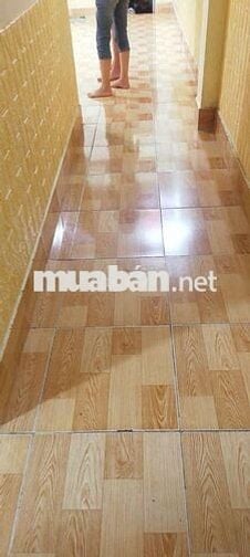 Cho thuê nhà cấp 4 hẻm Lê Hồng Phong Vũng Tàu