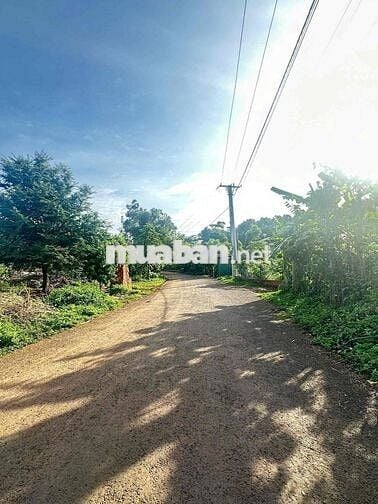 ĐẤT NHÀ VƯỜN PHƯỜNG EAKAO ĐƯỜNG NHỰA