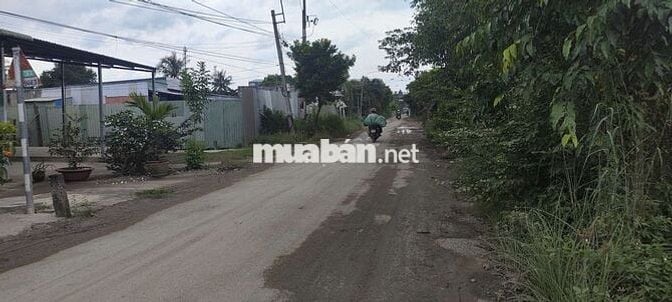 BÁN GẤP ĐẤT NÔNG NGHIỆP ĐƯỜNG BÊ TÔNG CONTAINER – XÃ THANH PHÚ