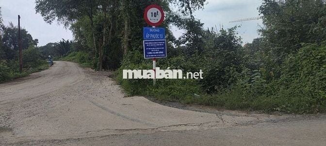 BÁN GẤP ĐẤT NÔNG NGHIỆP ĐƯỜNG BÊ TÔNG CONTAINER – XÃ THANH PHÚ