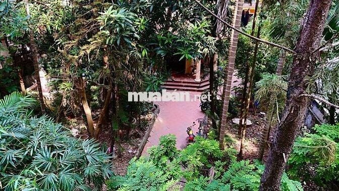 CHO THUÊ NHÀ NGUYÊN CĂN quận BA ĐÌNH – 4 TẦNG (DIỆN TÍCH: 40m2/TẦNG)