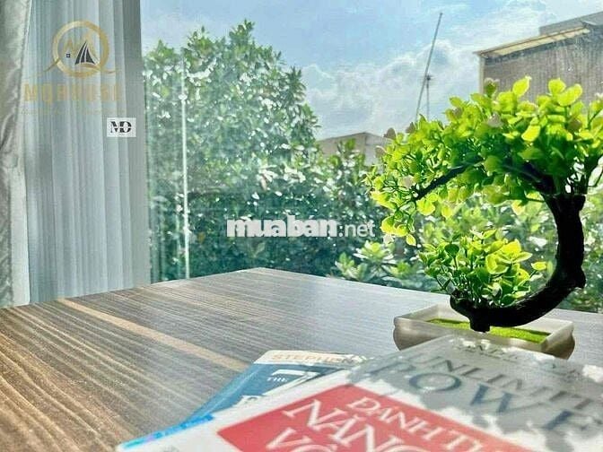 CHO THUÊ CHDV STUDIO CỬA SỔ LỚN VIEW THÀNH PHỐ THANG MÁY NGAY TÂN ĐINH